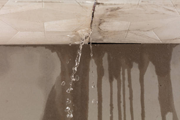 Professional Flood Damage Cleanup technician working in Bannock, OH